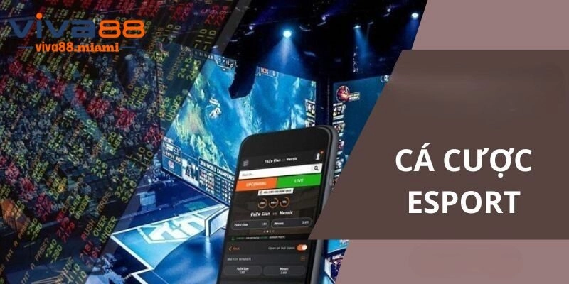 Cá Cược Esports - Giải Trí Săn Thưởng Hàng Tỷ Cùng Viva88
